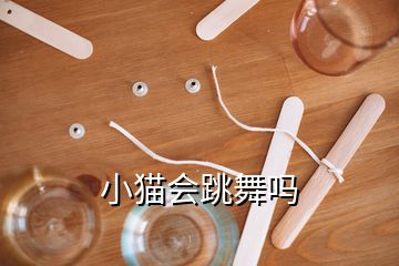 小貓會(huì)跳舞嗎