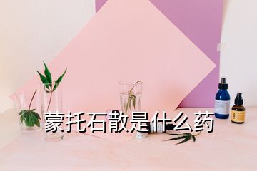 蒙托石散是什么藥