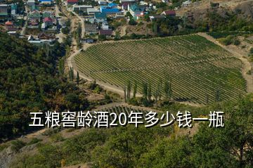 五糧窖齡酒20年多少錢一瓶