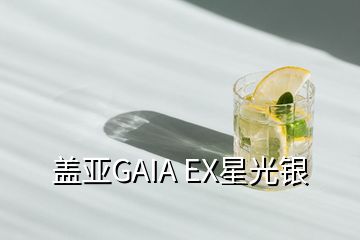 蓋亞GAIA EX星光銀