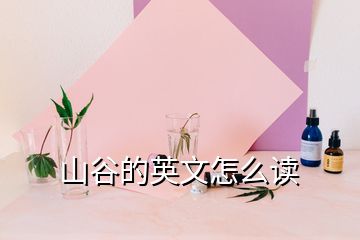 山谷的英文怎么讀