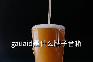 gauaid是什么牌子音箱