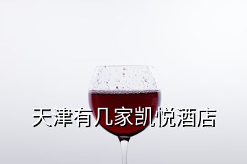 天津有幾家凱悅酒店