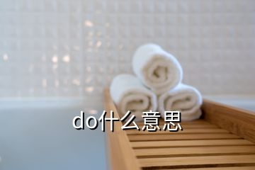 do什么意思