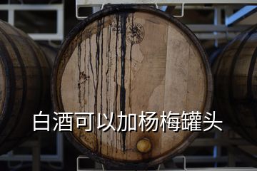 白酒可以加楊梅罐頭