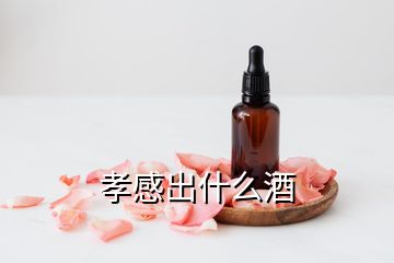 孝感出什么酒