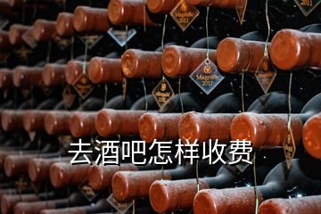 去酒吧怎樣收費