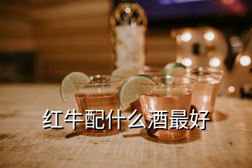 紅牛配什么酒最好