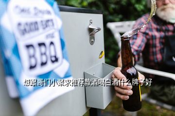 想跟哥們小聚求推薦款酒喝白酒什么牌子好