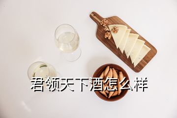 君領(lǐng)天下酒怎么樣