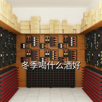 冬季喝什么酒好