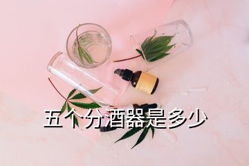 五個分酒器是多少