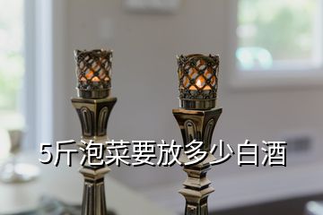 5斤泡菜要放多少白酒