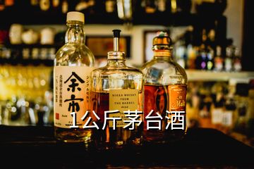 1公斤茅臺(tái)酒