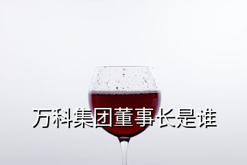 萬科集團(tuán)董事長(zhǎng)是誰