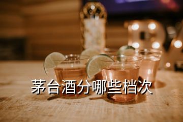 茅臺酒分哪些檔次