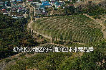 想做長沙地區(qū)的白酒加盟求推薦品牌