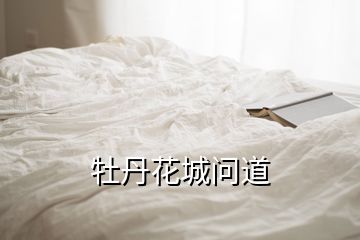 牡丹花城問(wèn)道