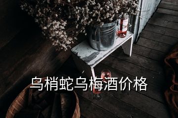 烏梢蛇烏梅酒價格