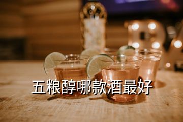 五糧醇哪款酒最好