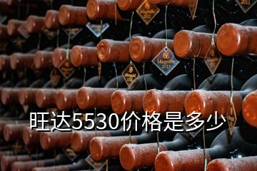 旺達5530價格是多少