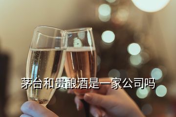 茅臺和貴釀酒是一家公司嗎