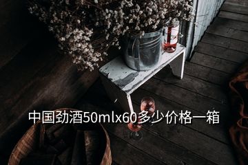 中國(guó)勁酒50mlx60多少價(jià)格一箱