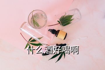 什么酒好喝啊