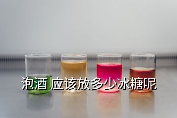 泡酒 應該放多少冰糖呢