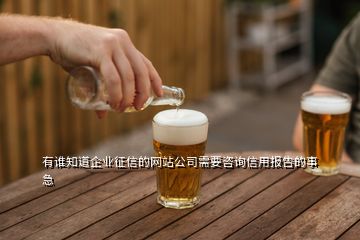 有誰知道企業(yè)征信的網(wǎng)站公司需要咨詢信用報(bào)告的事急