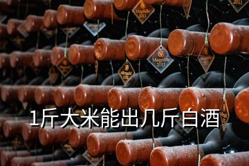 1斤大米能出幾斤白酒