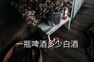 一瓶啤酒多少白酒