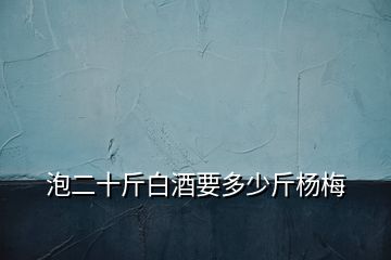 泡二十斤白酒要多少斤楊梅