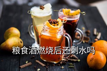 糧食酒燃燒后還剩水嗎