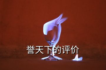 譽(yù)天下的評(píng)價(jià)