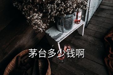 茅臺(tái)多少錢啊