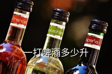 一打啤酒多少升