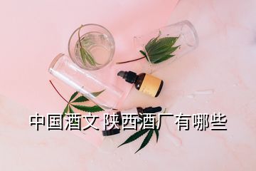 中國酒文 陜西酒廠有哪些