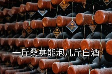 一斤桑葚能泡幾斤白酒