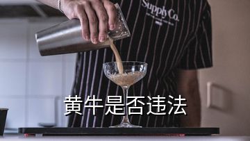 黃牛是否違法