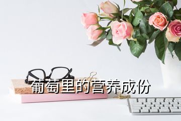 葡萄里的營養(yǎng)成份