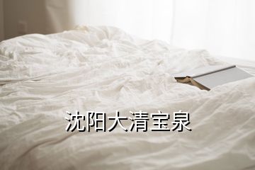 沈陽大清寶泉