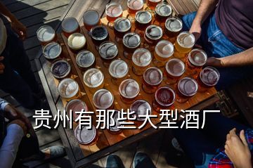 貴州有那些大型酒廠