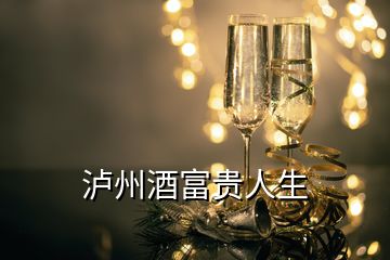 瀘州酒富貴人生