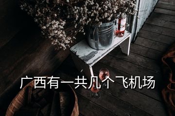 廣西有一共幾個(gè)飛機(jī)場(chǎng)