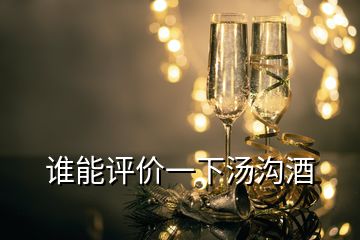 誰能評價(jià)一下湯溝酒