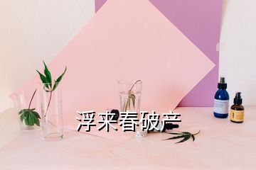 浮來春破產(chǎn)