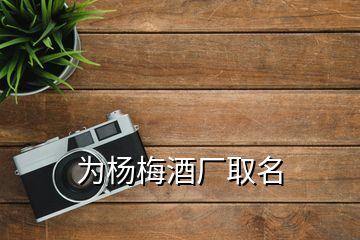 為楊梅酒廠取名