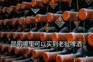 昆明哪里可以買到老撾啤酒