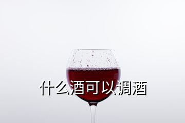 什么酒可以調酒